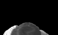 maiolein